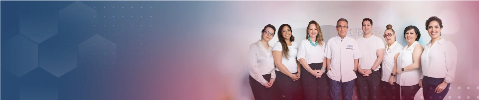 About Us Team